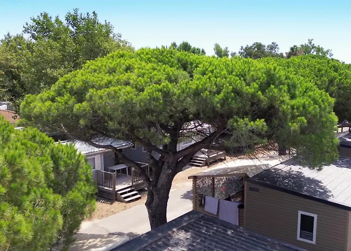 La Bergerie Camping